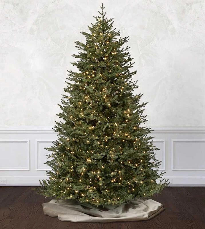 Cumberland Fir Christmas Tree
