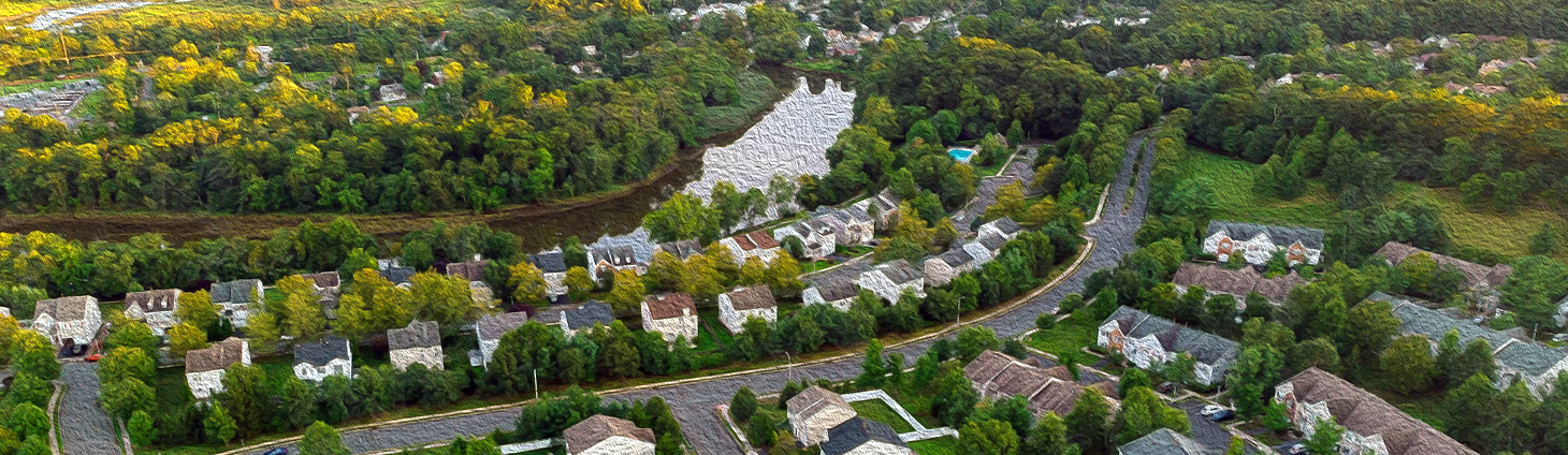 Treetime shipping banner