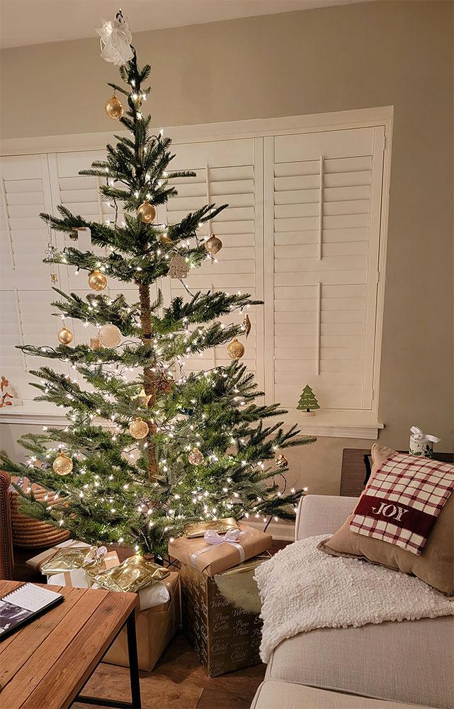 https://www.treetime.com/site/products/scandinavian-fir-artificial-christmas-trees-alt-007.jpg